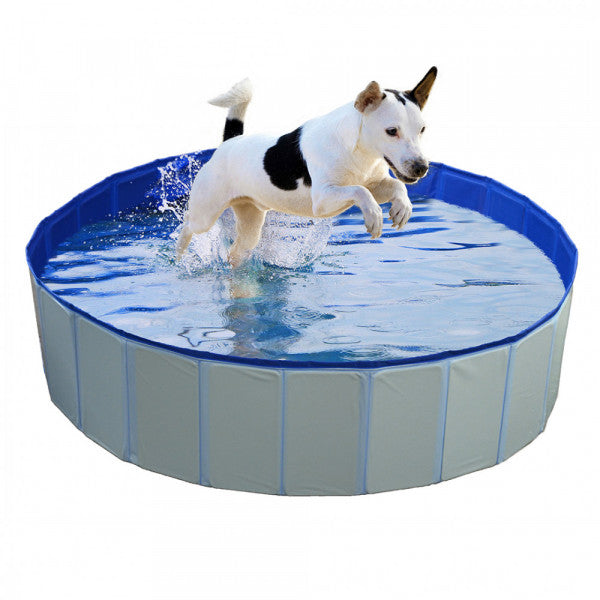 Piscina para cão