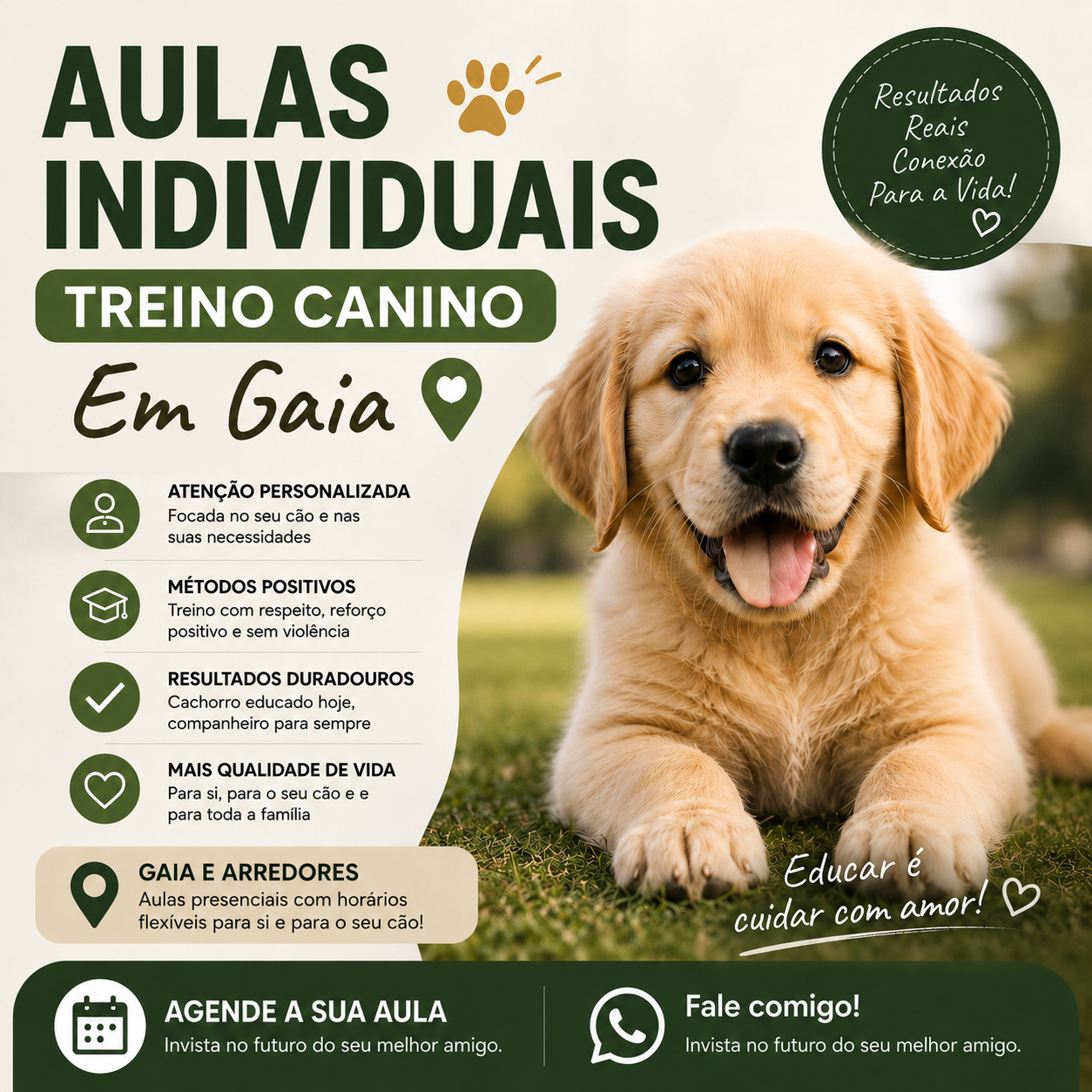 Pack Aulas Individuais -Em Vila Nova de Gaia