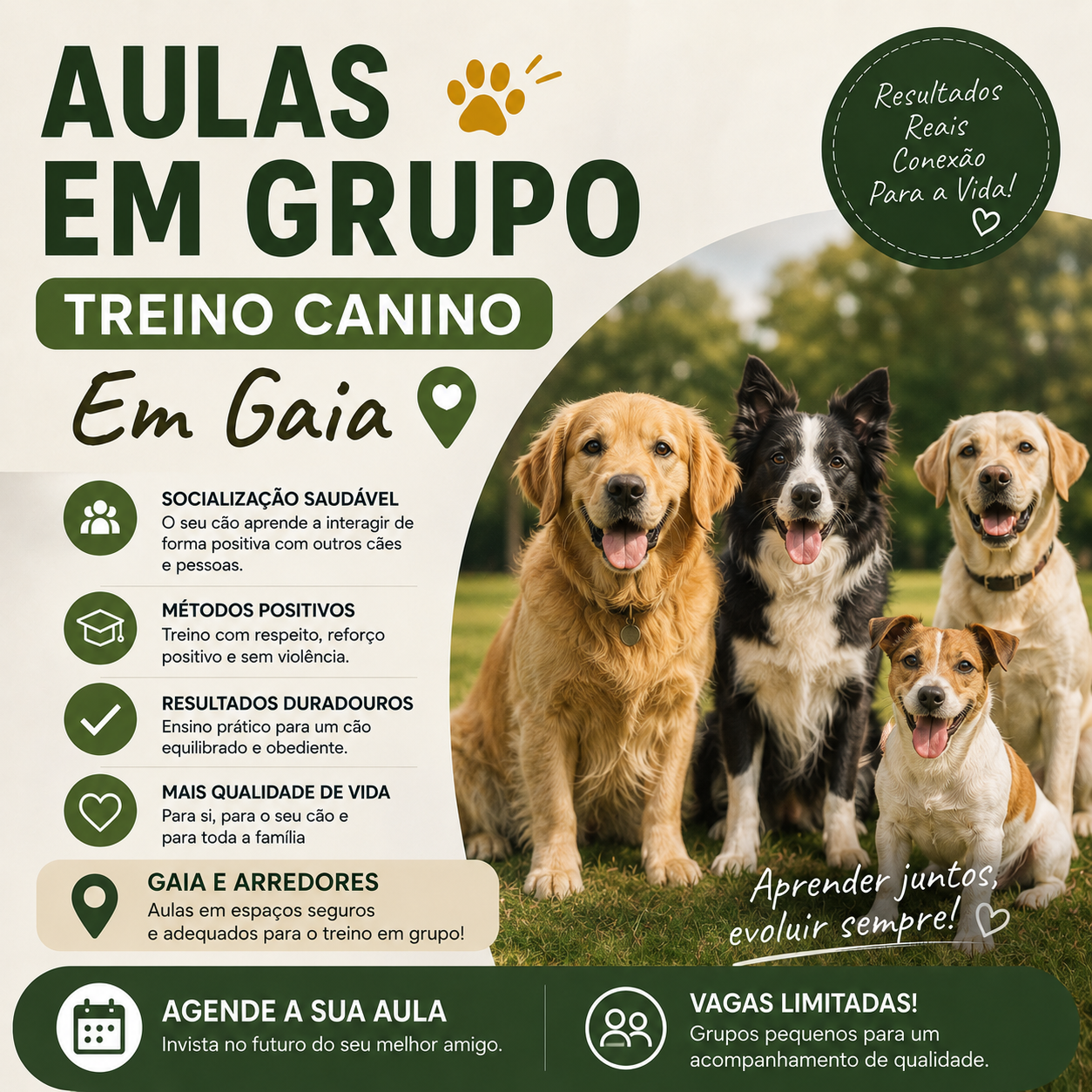 PACK Aulas em grupo -Vila Nova de Gaia