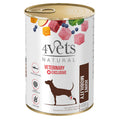 4VETS Dieta Veterinária Cão - Joint Mobility PACK