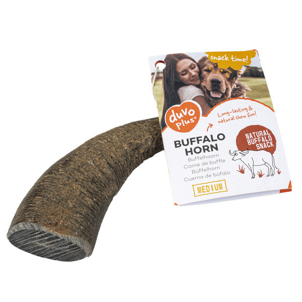 Chifre de búfalo para cães