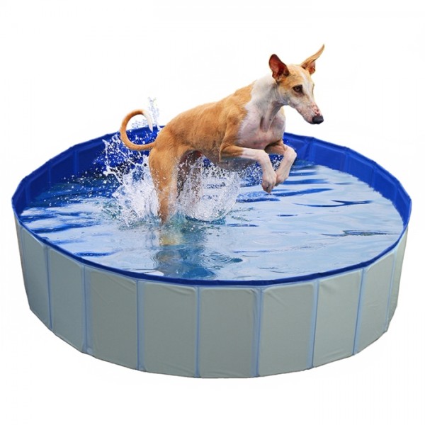 Piscina para cão