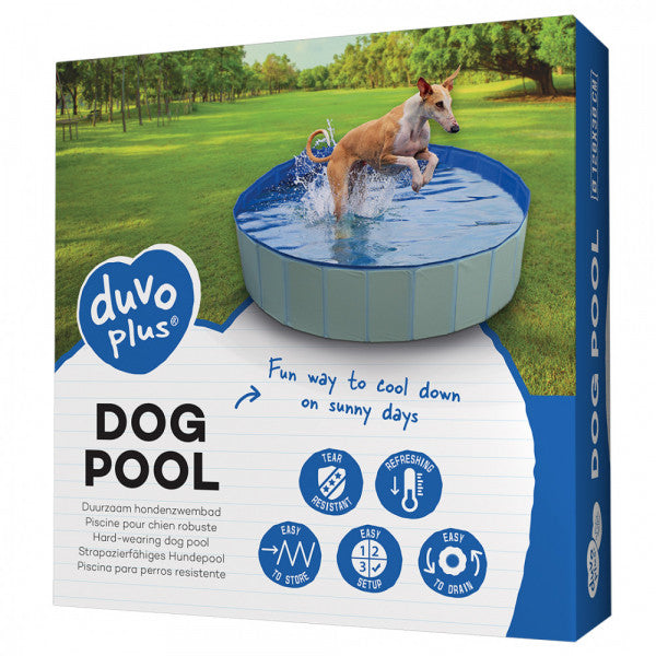 Piscina para cão