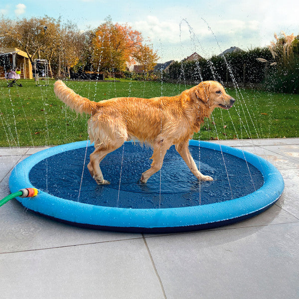 Piscina Splash para cão