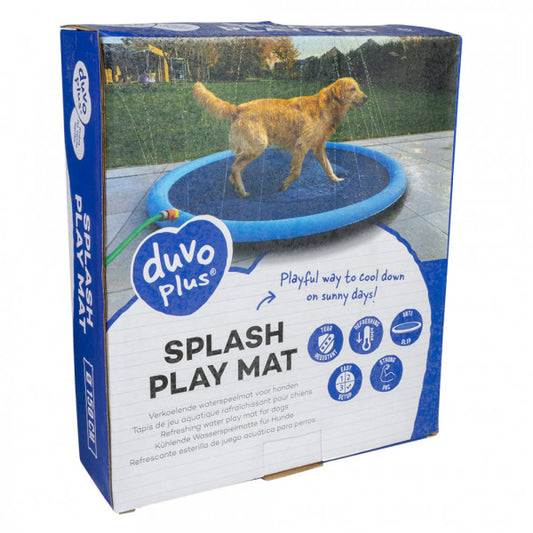 Piscina Splash para cão