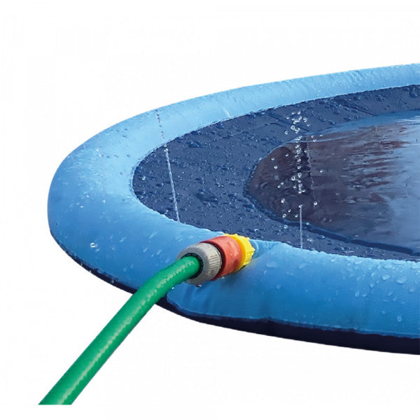 Piscina Splash para cão