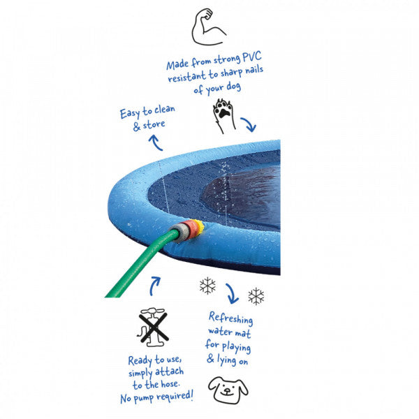 Piscina Splash para cão