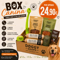 Box Canina -Tudo que o teu cão adora 🐾