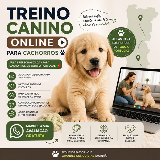 PACK PUPPYS AULAS ONLINE PORTUGAL 🐾
