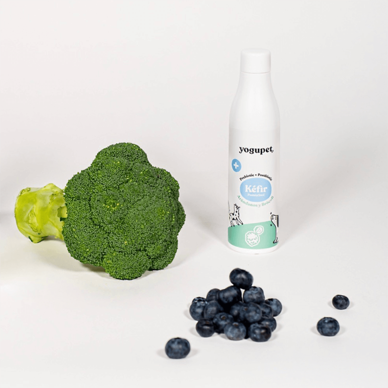 Yogupet - Kefir de Mirtilos e Brócolos para Cão e Gato