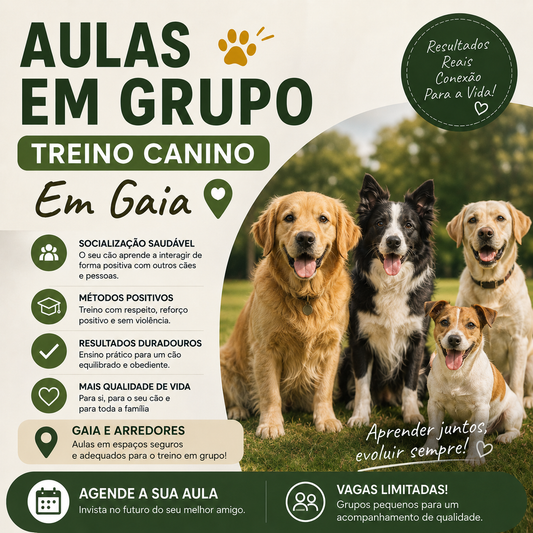 PACK Aulas em grupo -Vila Nova de Gaia